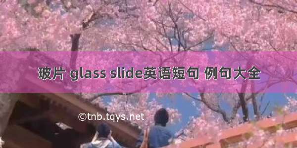 玻片 glass slide英语短句 例句大全