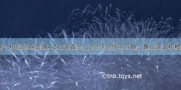 如图所示 两个相似的斜面体A B在竖直向上的力F的作用下静止靠在竖直粗糙墙壁上．关