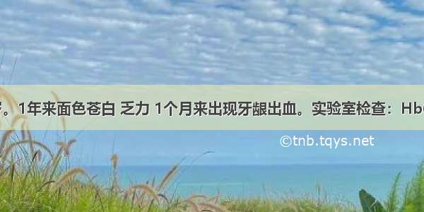 患者男 50岁。1年来面色苍白 乏力 1个月来出现牙龈出血。实验室检查：Hb68g/L WBC