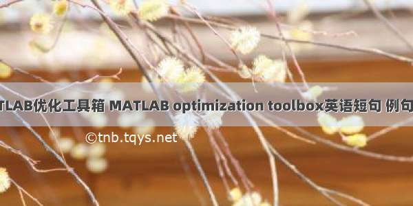 MATLAB优化工具箱 MATLAB optimization toolbox英语短句 例句大全