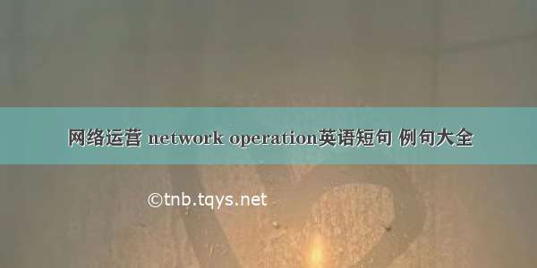 网络运营 network operation英语短句 例句大全