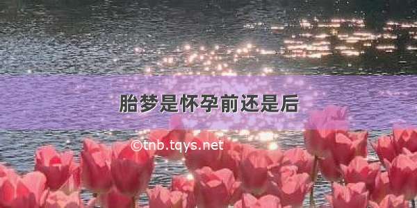 胎梦是怀孕前还是后