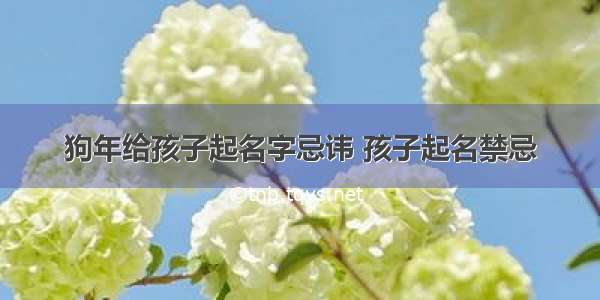 狗年给孩子起名字忌讳 孩子起名禁忌