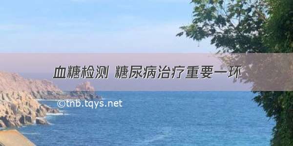 血糖检测 糖尿病治疗重要一环