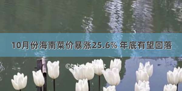 10月份海南菜价暴涨25.6% 年底有望回落