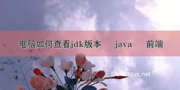 电脑如何查看jdk版本 – java – 前端