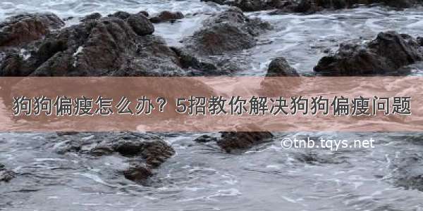 狗狗偏瘦怎么办？5招教你解决狗狗偏瘦问题