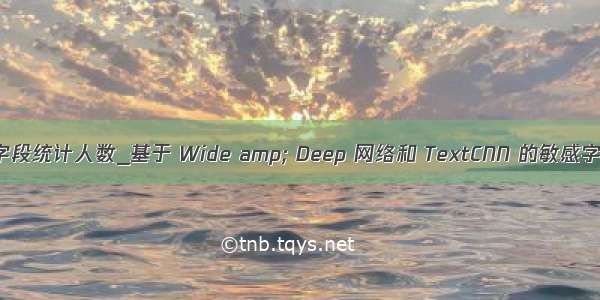 用姓名字段统计人数_基于 Wide amp; Deep 网络和 TextCNN 的敏感字段识别