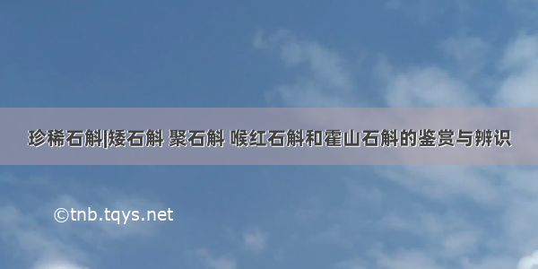 珍稀石斛|矮石斛 聚石斛 喉红石斛和霍山石斛的鉴赏与辨识