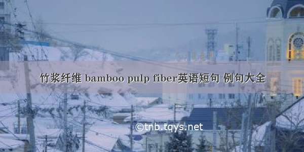 竹浆纤维 bamboo pulp fiber英语短句 例句大全