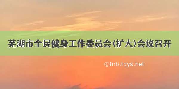 芜湖市全民健身工作委员会(扩大)会议召开