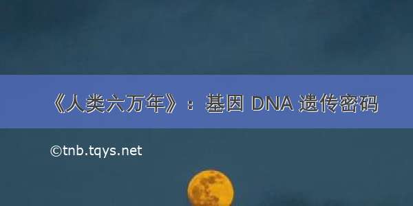 《人类六万年》：基因 DNA 遗传密码