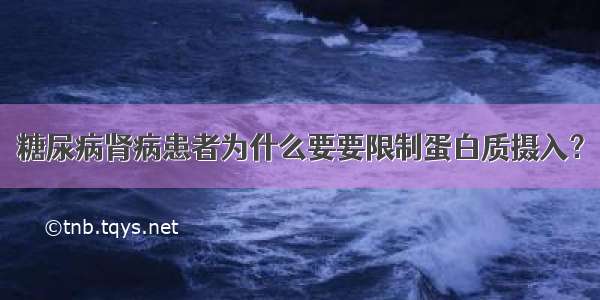 糖尿病肾病患者为什么要要限制蛋白质摄入？