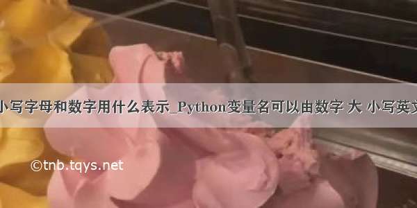 python中小写字母和数字用什么表示_Python变量名可以由数字 大 小写英文字母和 下