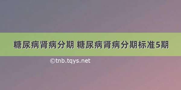 糖尿病肾病分期 糖尿病肾病分期标准5期