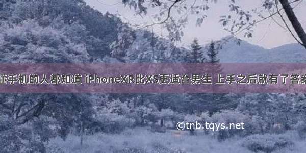 懂手机的人都知道 iPhoneXR比XS更适合男生 上手之后就有了答案