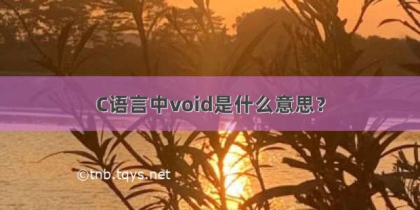 C语言中void是什么意思？