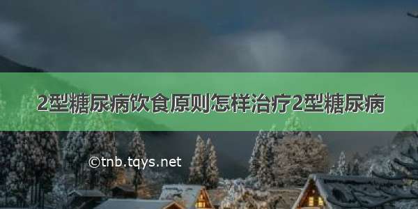 2型糖尿病饮食原则怎样治疗2型糖尿病