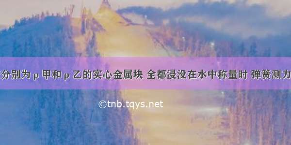 有两个密度分别为ρ甲和ρ乙的实心金属块 全都浸没在水中称量时 弹簧测力计的示数相