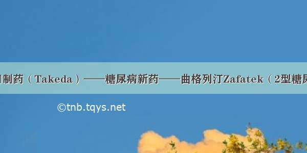 日本武田制药（Takeda）——糖尿病新药——曲格列汀Zafatek（2型糖尿病专用）