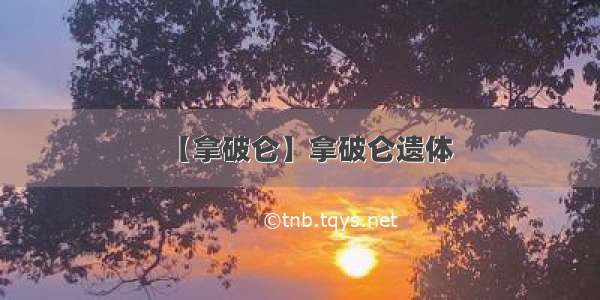 【拿破仑】拿破仑遗体