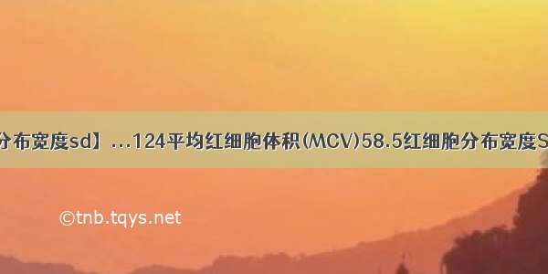 【红细胞分布宽度sd】...124平均红细胞体积(MCV)58.5红细胞分布宽度SD(RDW...