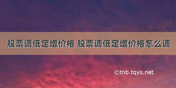 股票调低定增价格 股票调低定增价格怎么调