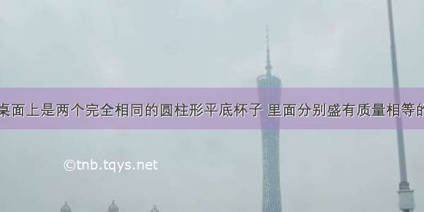 如图所示 桌面上是两个完全相同的圆柱形平底杯子 里面分别盛有质量相等的水和酒精 