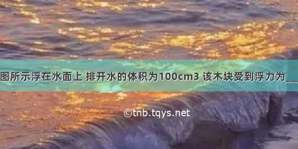 有一木块如图所示浮在水面上 排开水的体积为100cm3 该木块受到浮力为________ 并在