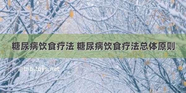 糖尿病饮食疗法 糖尿病饮食疗法总体原则