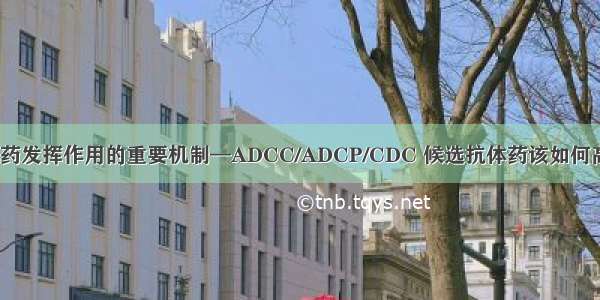 系统解读抗体药发挥作用的重要机制—ADCC/ADCP/CDC 候选抗体药该如何高效检测功效？