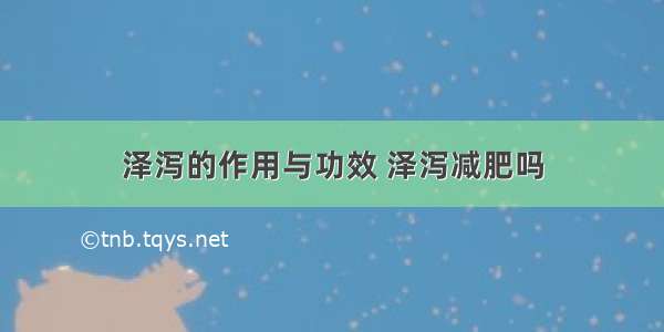 泽泻的作用与功效 泽泻减肥吗