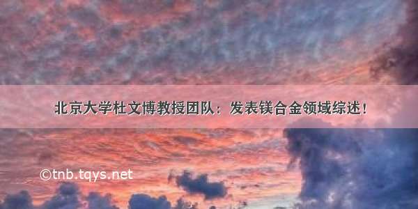 北京大学杜文博教授团队：发表镁合金领域综述！