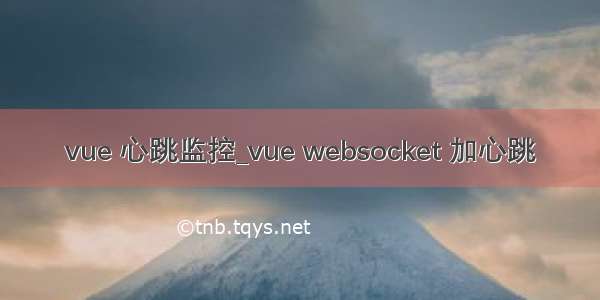 vue 心跳监控_vue websocket 加心跳