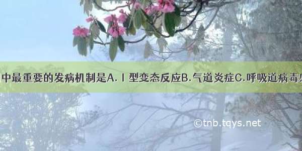 哮喘发病机制中最重要的发病机制是A.Ⅰ型变态反应B.气道炎症C.呼吸道病毒感染D.神经一