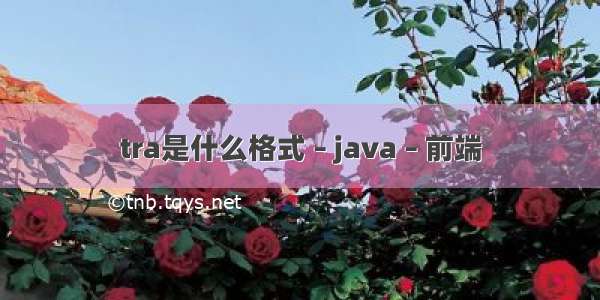 tra是什么格式 – java – 前端