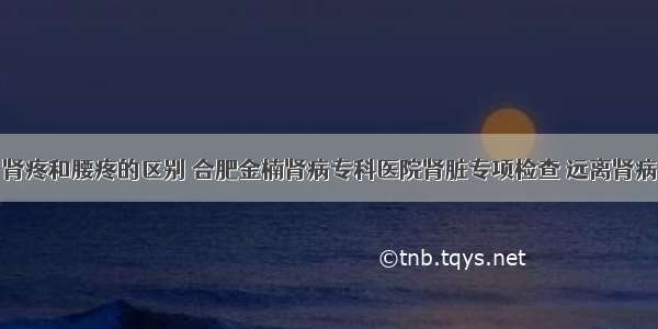 肾疼和腰疼的区别 合肥金楠肾病专科医院肾脏专项检查 远离肾病