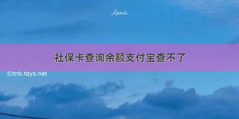 社保卡查询余额支付宝查不了