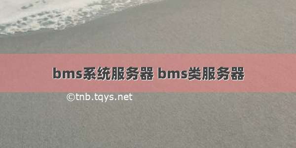 bms系统服务器 bms类服务器