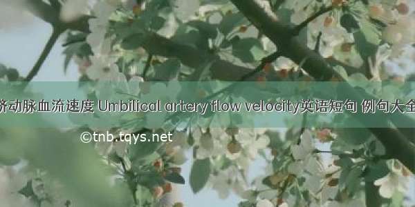 脐动脉血流速度 Umbilical artery flow velocity英语短句 例句大全