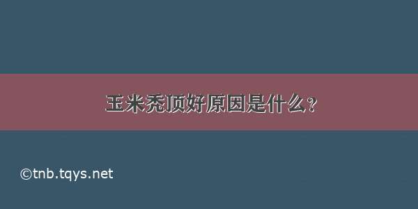 玉米秃顶好原因是什么？