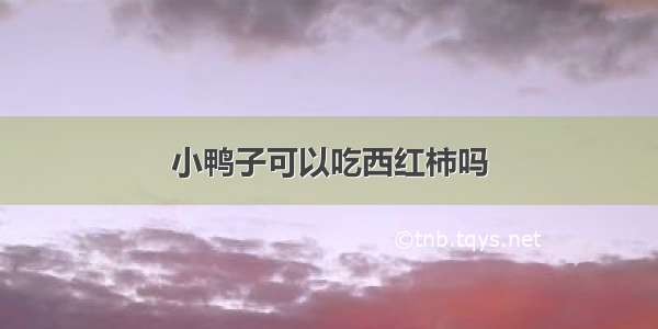 小鸭子可以吃西红柿吗