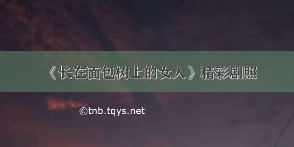 《长在面包树上的女人》精彩剧照