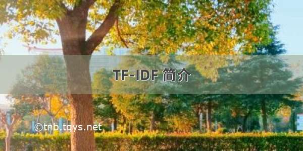 TF-IDF 简介