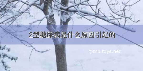 2型糖尿病是什么原因引起的