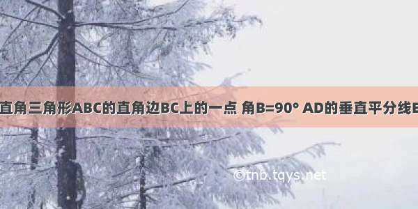 如图 D为等腰直角三角形ABC的直角边BC上的一点 角B=90° AD的垂直平分线EF分别交AC A