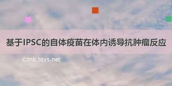 基于IPSC的自体疫苗在体内诱导抗肿瘤反应