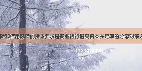 降低市场风险和信用风险的资本要求是商业银行提高资本充足率的分母对策之一。()对错