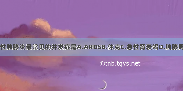 急性出血坏死性胰腺炎最常见的并发症是A.ARDSB.休克C.急性肾衰竭D.胰腺周围脓肿E.胰腺