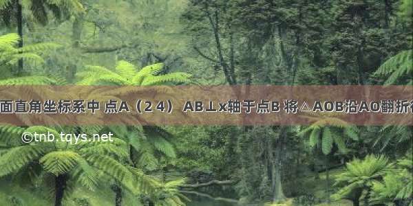 已知：在平面直角坐标系中 点A（2 4） AB⊥x轴于点B 将△AOB沿AO翻折得到△AOB′